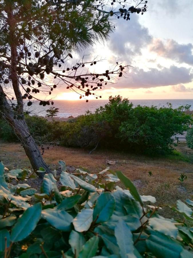 Villetta Dei Ginepri Costa Paradiso Buitenkant foto