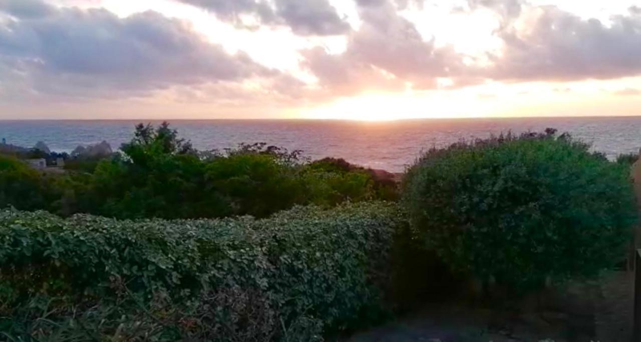 Villetta Dei Ginepri Costa Paradiso Buitenkant foto