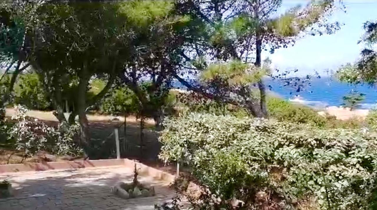 Villetta Dei Ginepri Costa Paradiso Buitenkant foto