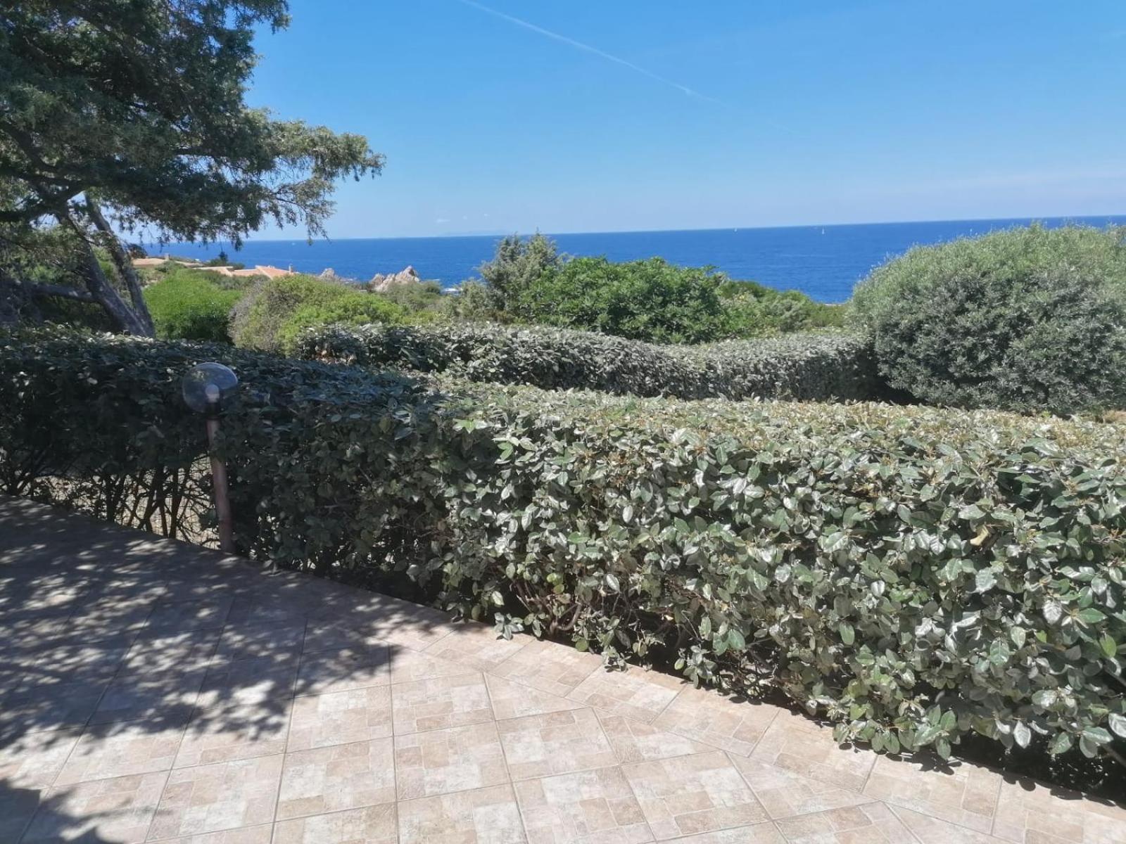 Villetta Dei Ginepri Costa Paradiso Buitenkant foto